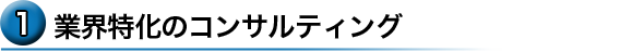 業界特化のコンサルティング